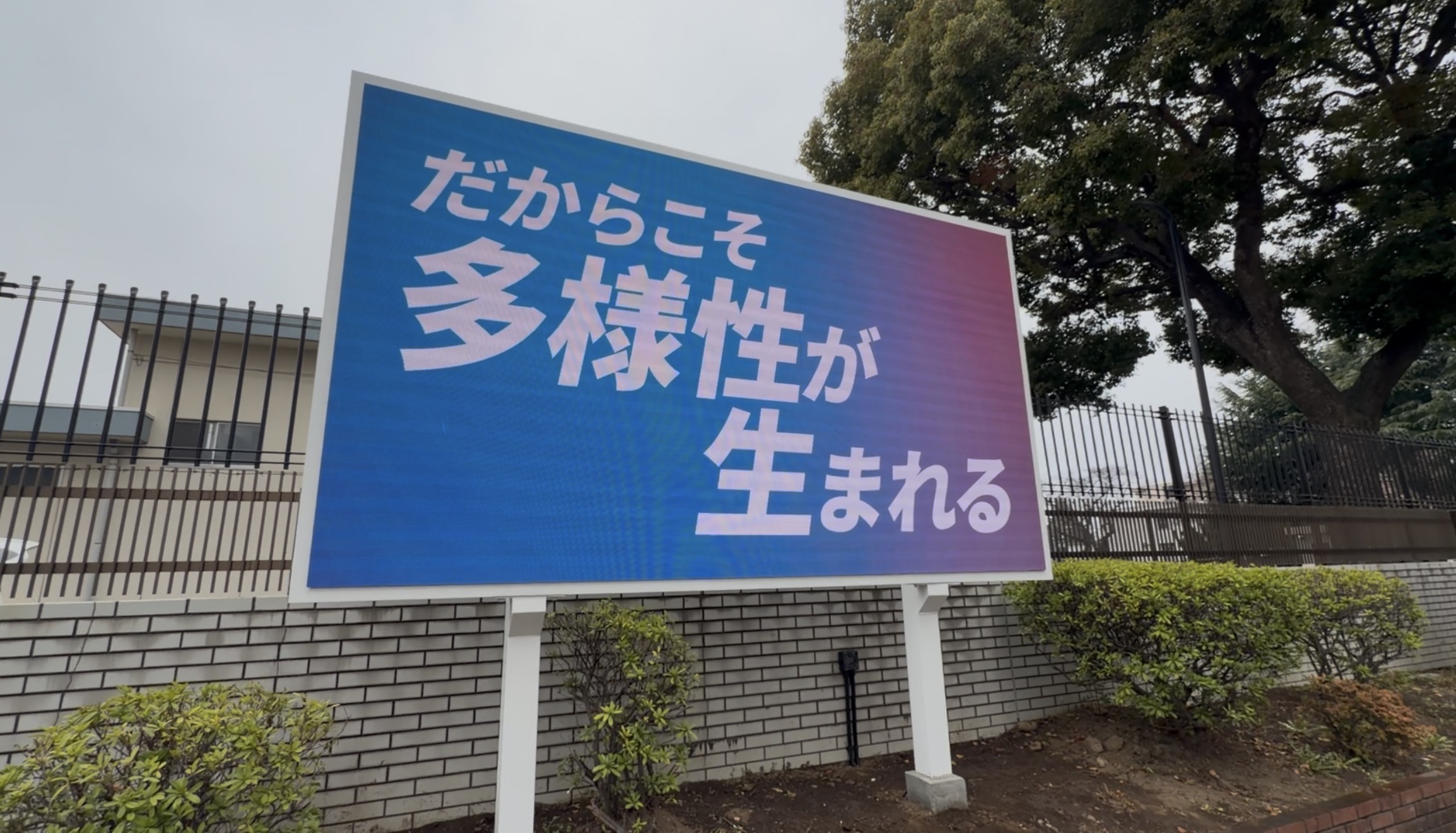 東京都練馬区のサムネイル